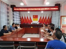 公司機(jī)關(guān)黨支部與大灣村黨總支開展結(jié)對(duì)共建主題黨日暨黨務(wù)工作培訓(xùn)活動(dòng)